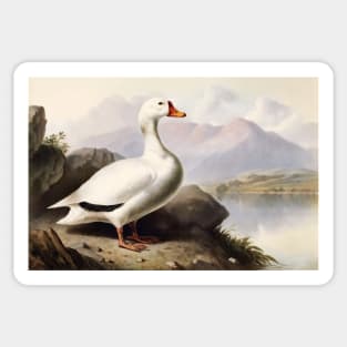 White Duck Sticker